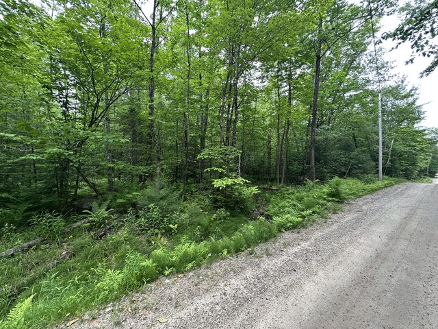 R13-023-B Hobbs Rd, Greenwood, ME 04255 - photo 11