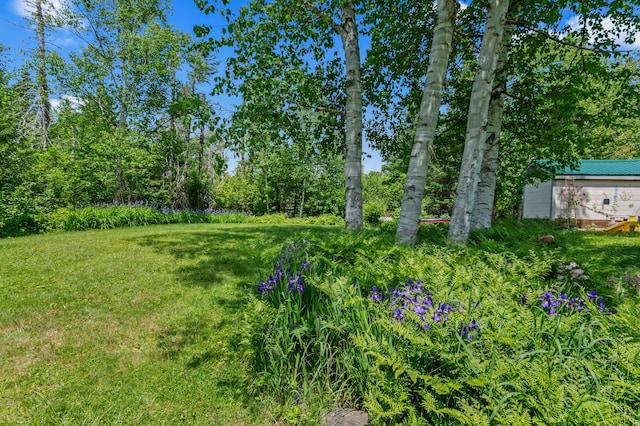 574 Mingo Loop Rd, Rangeley, ME 04970 - view of green lawn