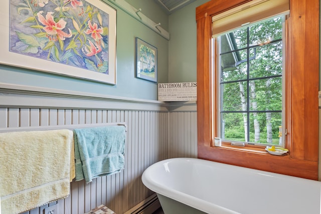 574 Mingo Loop Rd, Rangeley, ME 04970 - full bathroom with a freestanding bath, healthy amount of natural light, wainscoting, and a decorative wall
