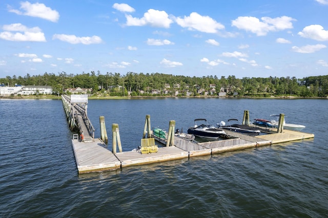 71 Village Way Unit 506, Edgecomb, ME 04556 - dock with a water view