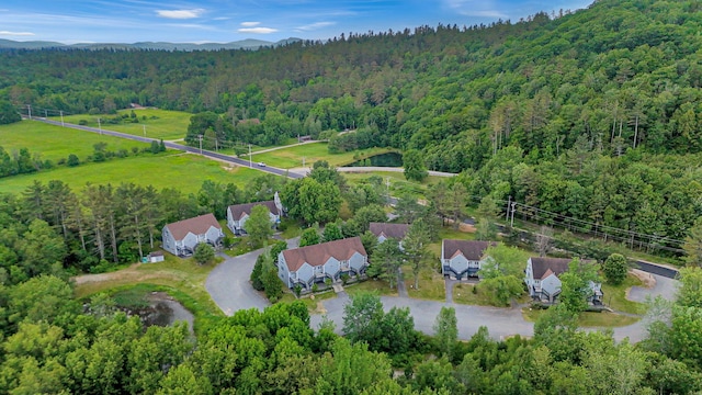9 Cherry Ln Unit 11, Bethel, ME 04217 - aerial view of property and surrounding area with a forest