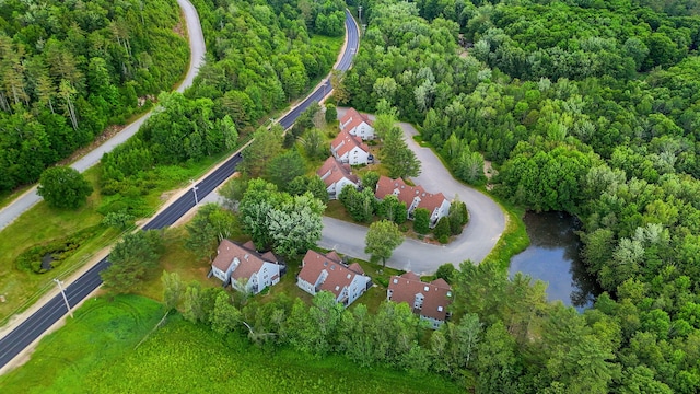 9 Cherry Ln Unit 11, Bethel, ME 04217 - view of property location with nearby suburban area