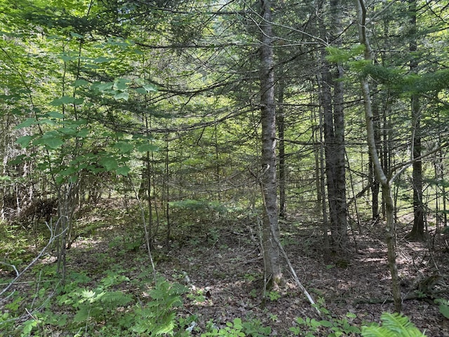 91 Wescott Rd, Gorham, ME 04038 - photo 3