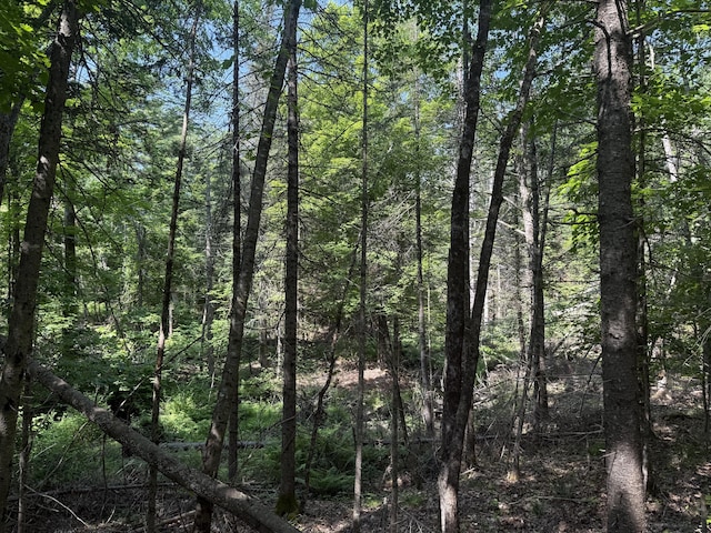 91 Wescott Rd, Gorham, ME 04038 - photo 5