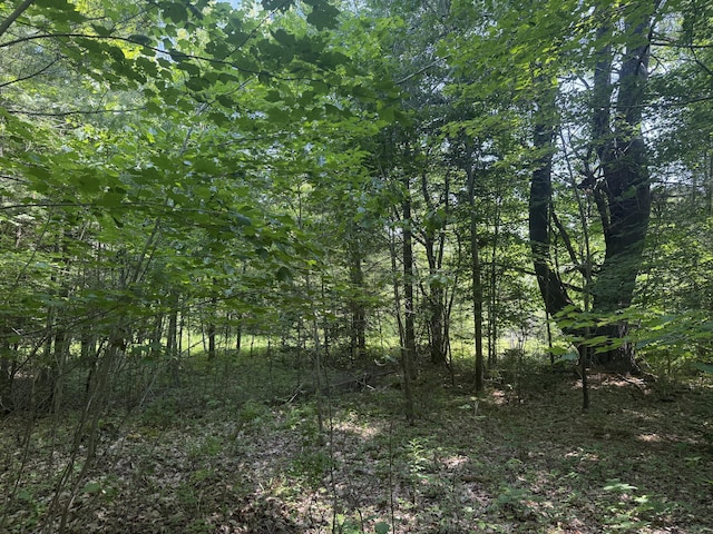 91 Wescott Rd, Gorham, ME 04038 - photo 2