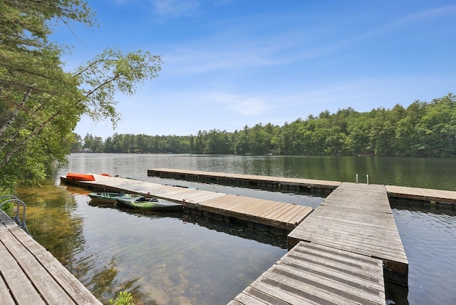 8 Log Cabin Ln Unit 9, Shapleigh, ME 04076 - dock area featuring a water view and a view of trees