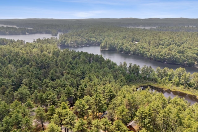 8 Log Cabin Ln Unit 9, Shapleigh, ME 04076 - aerial view of a nearby body of water
