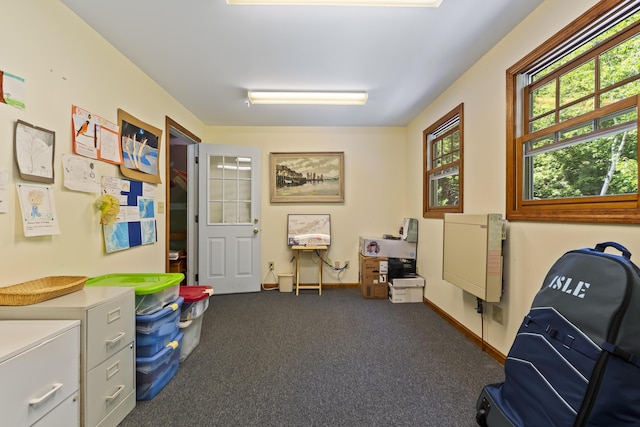 15 Harvey Brook Dr, Freeport, ME 04032 - office area with carpet and baseboards