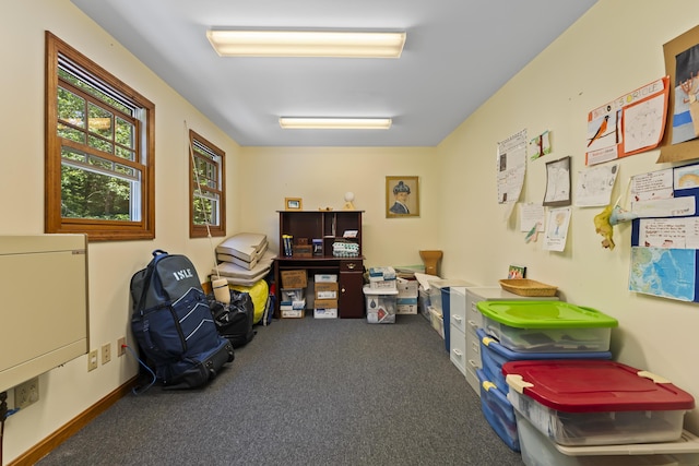 15 Harvey Brook Dr, Freeport, ME 04032 - office space with carpet flooring