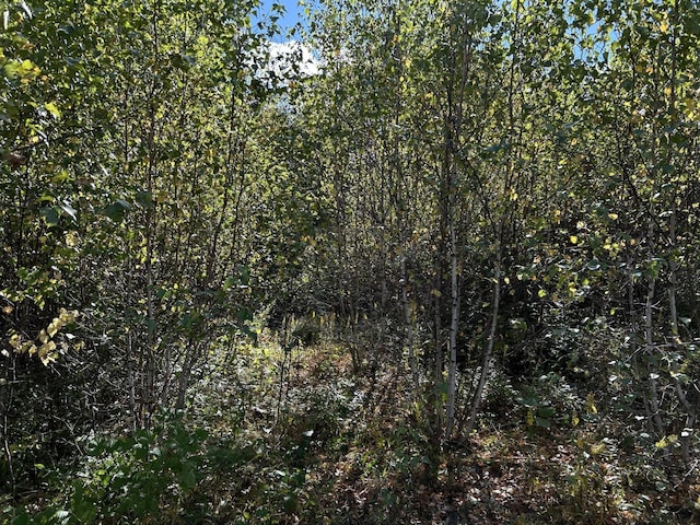 M5L28-5 Moosehead Trl, Jackson, ME 04921