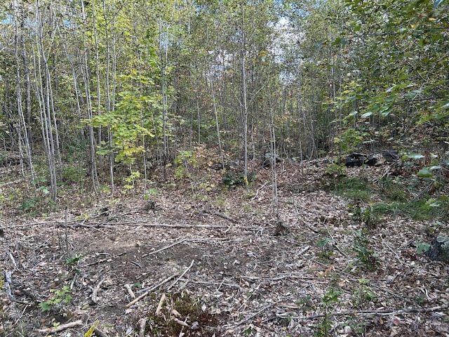 M5L28-5 Moosehead Trl, Jackson, ME 04921