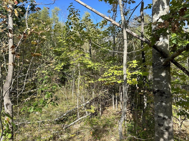 M5L28-5 Moosehead Trl, Jackson, ME 04921