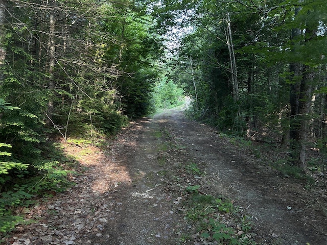 M5L28-5 Moosehead Trl, Jackson, ME 04921