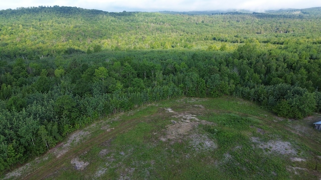 M5L28-5 Moosehead Trl, Jackson, ME 04921