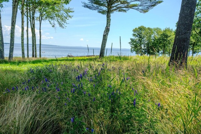 97 Dockside Ln Unit 8, Belfast, ME 04915 - water view