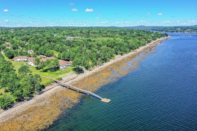 97 Dockside Ln Unit 8, Belfast, ME 04915 - drone / aerial view of a large body of water and a forest