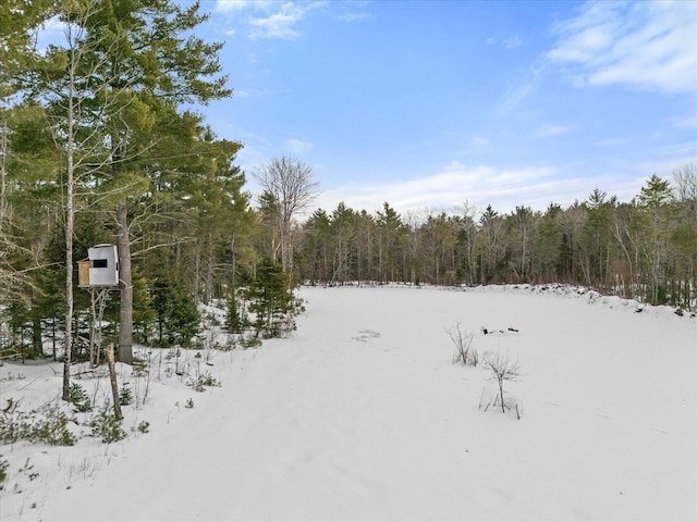 431 Bardon Hill Rd, Etna, ME 04434 - yard layered in snow with a wooded view