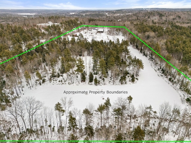 431 Bardon Hill Rd, Etna, ME 04434 - view of property location with property parcel outlined and a heavily wooded area