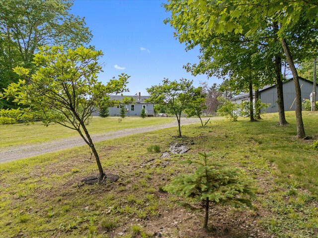 431 Bardon Hill Rd, Etna, ME 04434 - view of green lawn