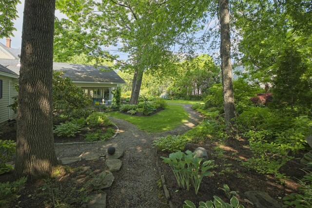 58 Church St, Belfast, ME 04915 - view of yard