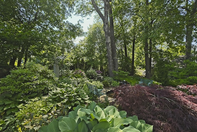 58 Church St, Belfast, ME 04915 - view of local wilderness