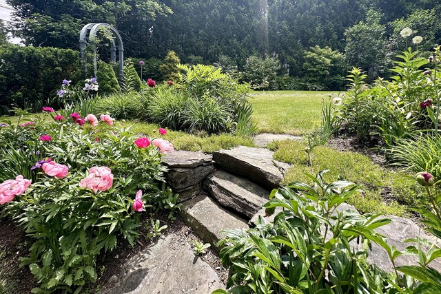 58 Church St, Belfast, ME 04915 - view of yard