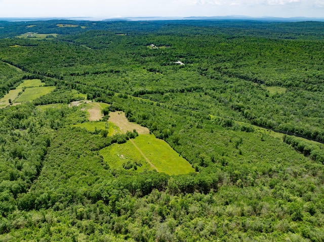 LT15 Murray Ln, Frankfort, ME 04438