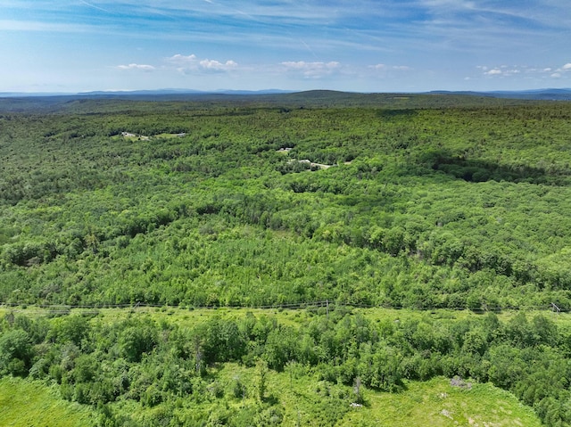 LT15 Murray Ln, Frankfort, ME 04438
