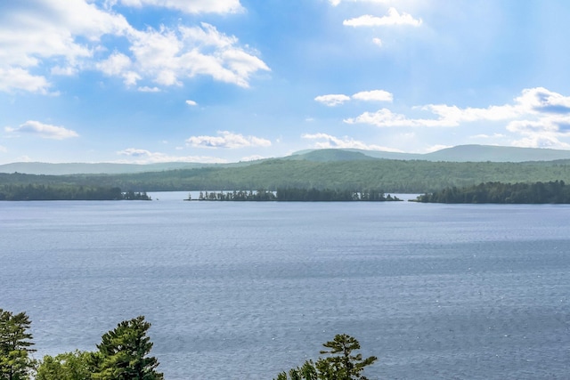3 Mikes Ln Unit 3, Smithfield, ME 04978 - photo 40