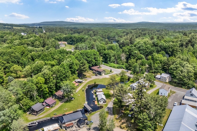 3 Mikes Ln Unit 3, Smithfield, ME 04978 - photo 34