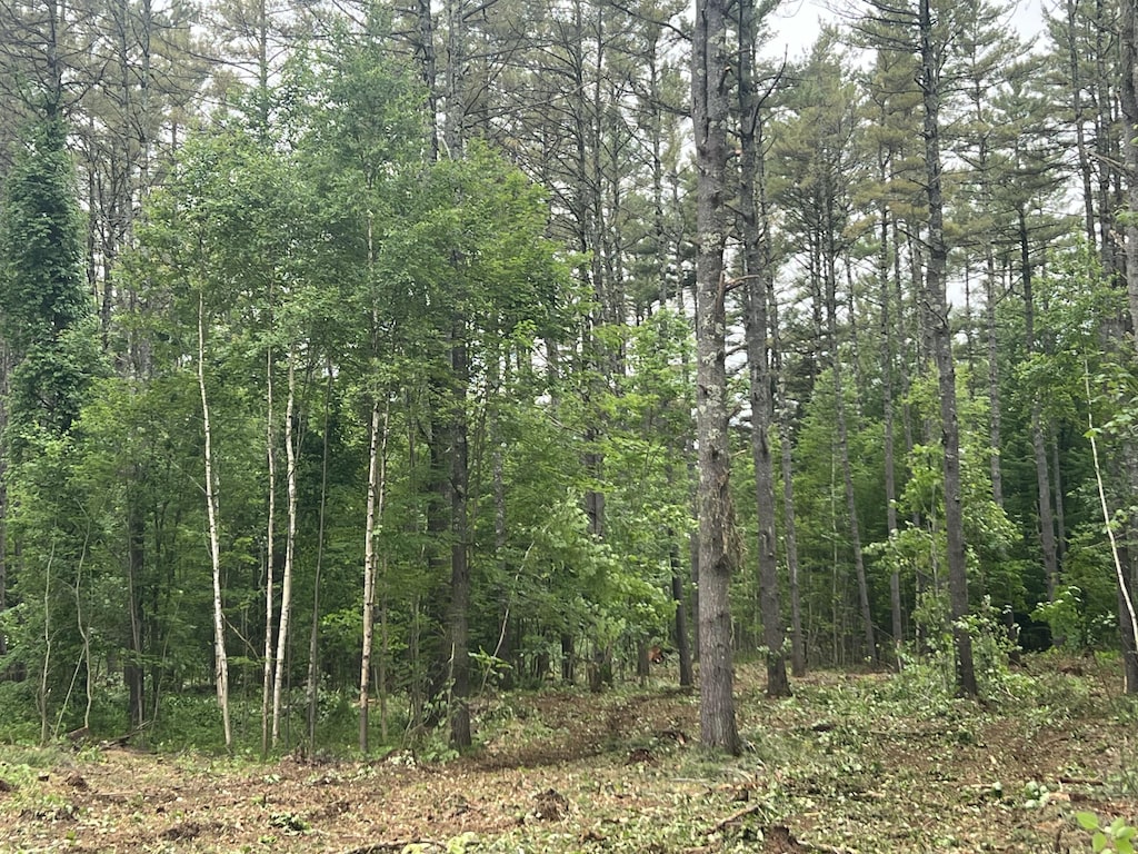0 Mayville Rd, Bethel, ME 04217