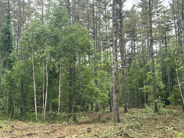 0 Mayville Rd, Bethel, ME 04217