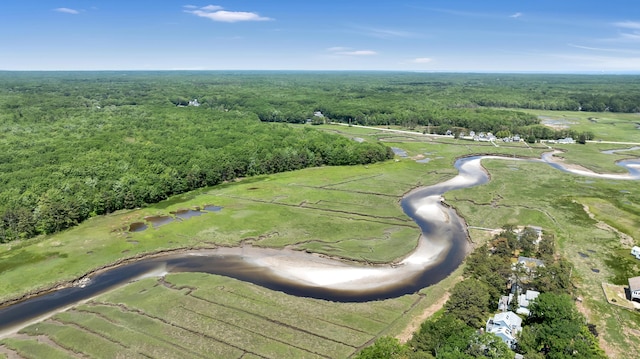 13 Norwood Ln, Kennebunkport, ME 04046 - aerial overview of property's location with a forest and a large body of water