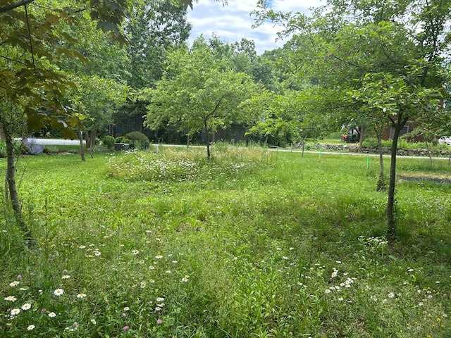 7 Grason Ln, Bar Harbor, ME 04609