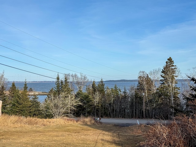 14 Overlook Ln, Machiasport, ME 04655 - photo 3