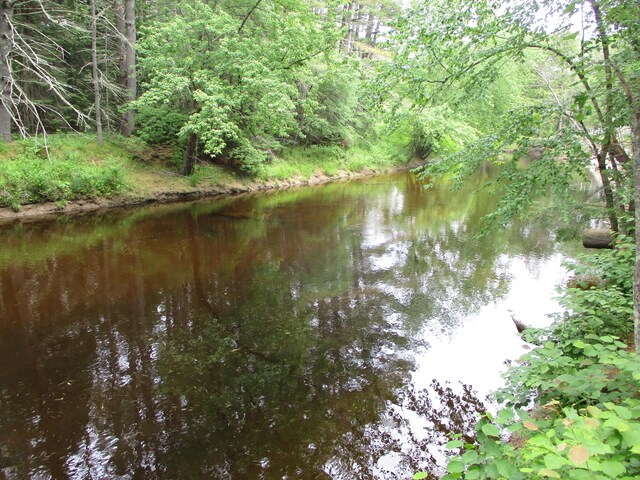 14 Dragon Back Rd, Naples, ME 04055 - photo 33