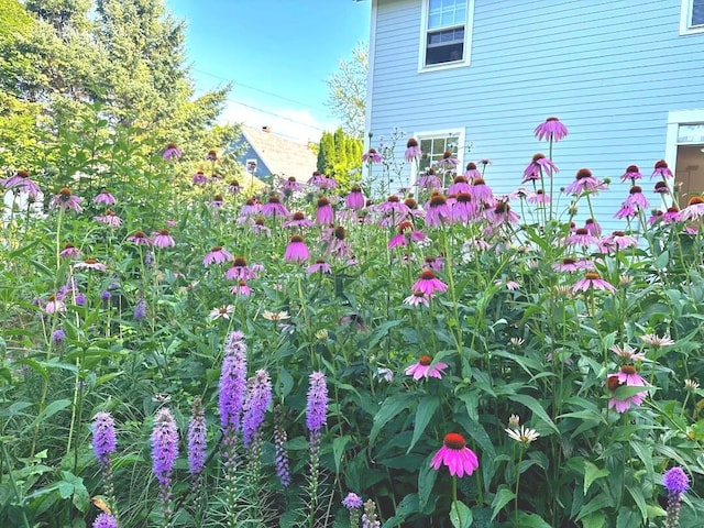 199 Main St, Belfast, ME 04915 - photo 65
