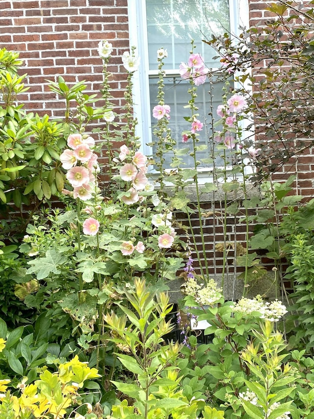 199 Main St, Belfast, ME 04915 - photo 59
