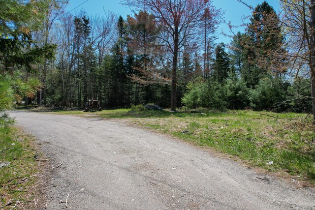 M1L81-11 Asas Ln, Lamoine, ME 04605 - photo 19
