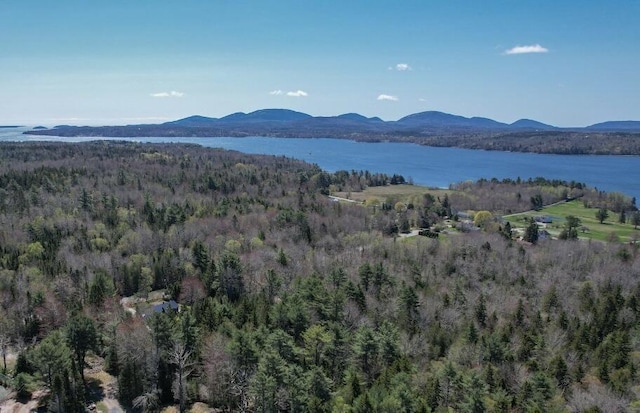 M1L81-11 Asas Ln, Lamoine, ME 04605 - photo 2