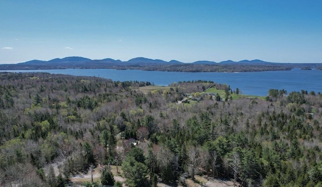 M1L81-11 Asas Ln, Lamoine, ME 04605 - photo 3
