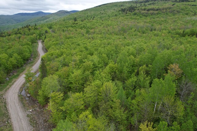 LOT7 Hollis Dr, Kingfield, ME 04947 - photo 4
