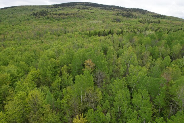 LOT7 Hollis Dr, Kingfield, ME 04947 - photo 5