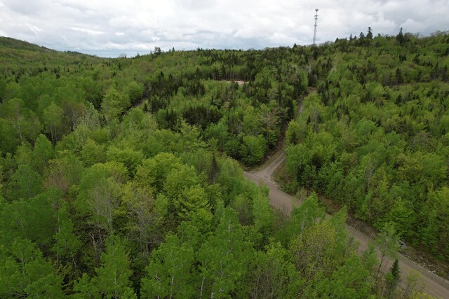 LOT7 Hollis Dr, Kingfield, ME 04947 - photo 6
