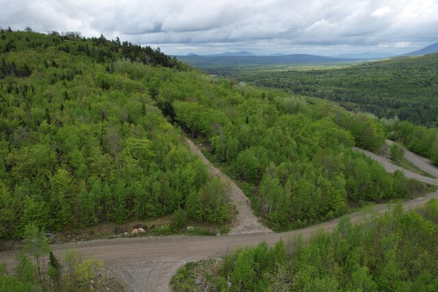 LOT7 Hollis Dr, Kingfield, ME 04947 - photo 7