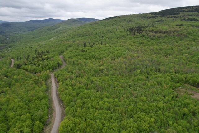 LOT7 Hollis Dr, Kingfield, ME 04947 - photo 8
