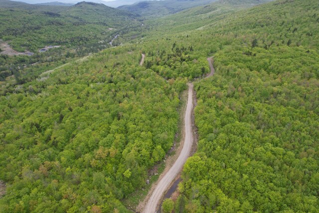 LOT7 Hollis Dr, Kingfield, ME 04947 - photo 11
