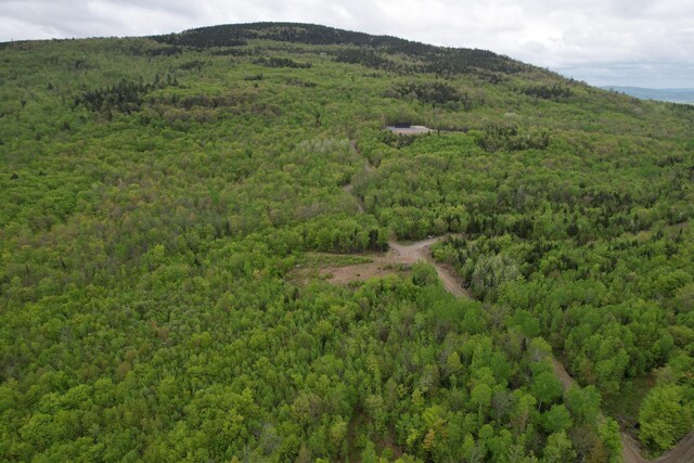 LOT7 Hollis Dr, Kingfield, ME 04947 - photo 13