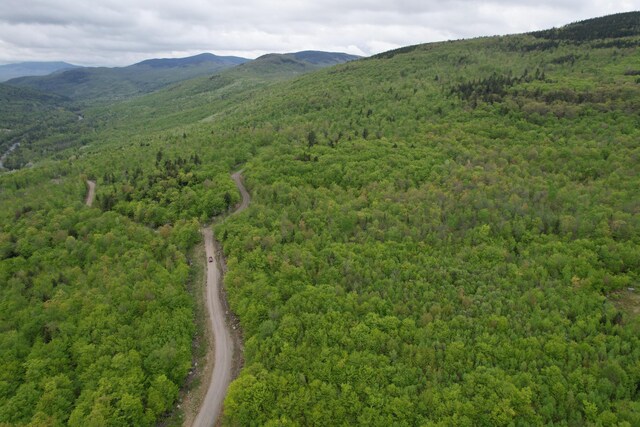 LOT7 Hollis Dr, Kingfield, ME 04947 - photo 14