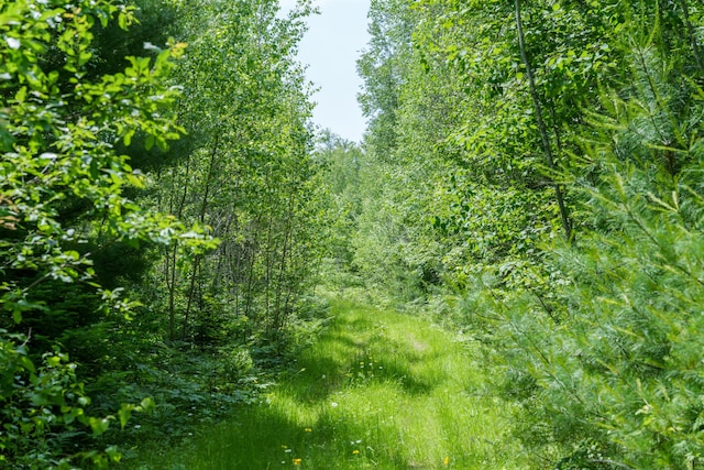 LOT26-37 Otter Trl, Greenbush, ME 04418